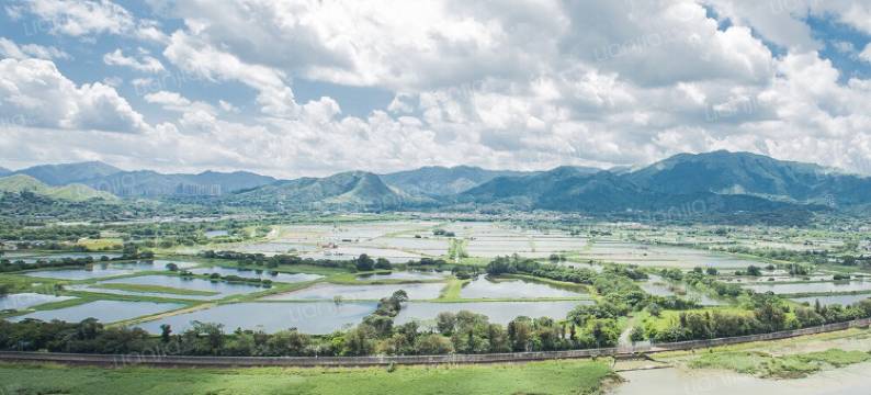深圳喜悦之旅公寓(皇岗七街分店)图片