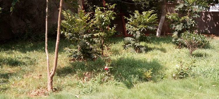 青岛阿娇小屋图片