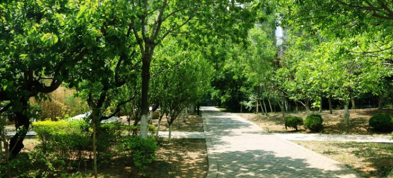 蓬莱唐红艳公寓图片