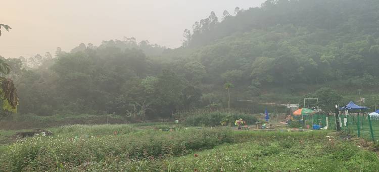 深圳书香小院(2号店)图片