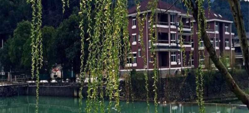 宁海56号双林农居图片