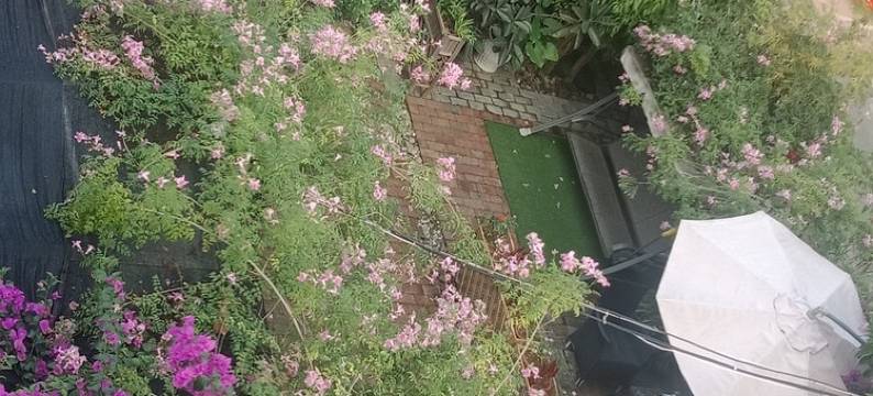 桂林望舒阁私厨花园民宿图片
