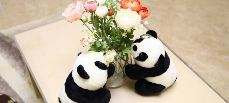 熊猫基地天蓝公寓(熊猫大道分店)图片