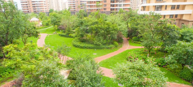 青岛小羊肖恩的家公寓图片