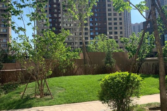 哈尔滨宝宇环球港公寓预订价格,联系电话位置地址【携程酒店】