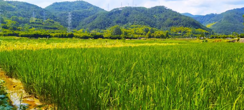 杭州桐庐后浦袁家大院特色民宿图片