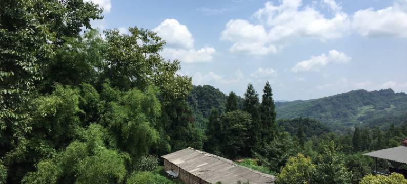 雅安凤梧兴居农家乐图片