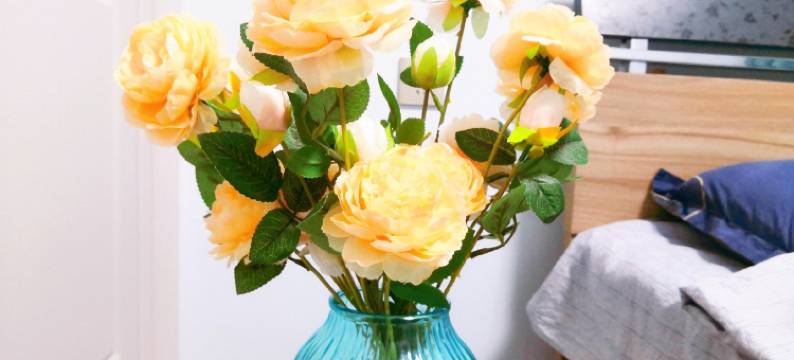 伊犁核桃树公寓图片