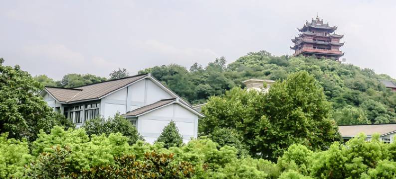 杭州南山设计民宿图片