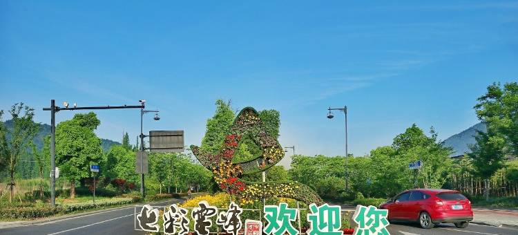 安吉别树一阁民宿图片