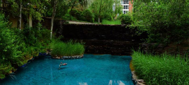 西宁丑姐公寓(2号店)图片