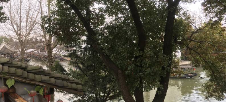 西塘有缘居客栈图片