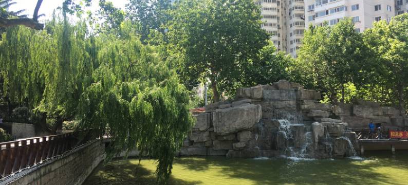 青岛温馨港湾CP之家公寓图片