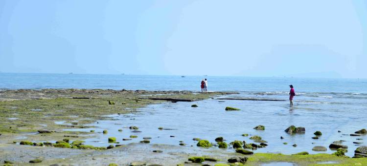 涠洲岛闻海花园民宿图片