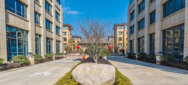 舟山蟑螂恶霸公寓图片