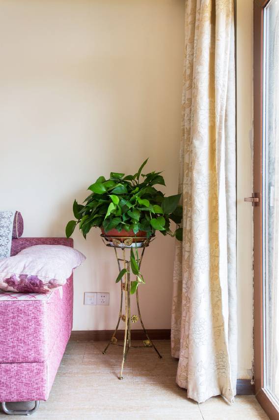 西双版纳古茶居公寓(5号店)