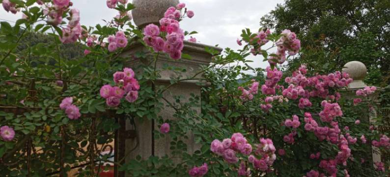 湖州霞雾山居住宿图片