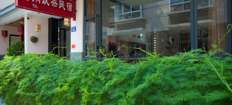 武夷山得闲饮茶民宿图片