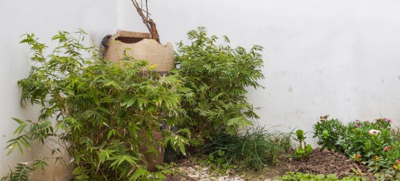 锦溪馥芫居民宿图片