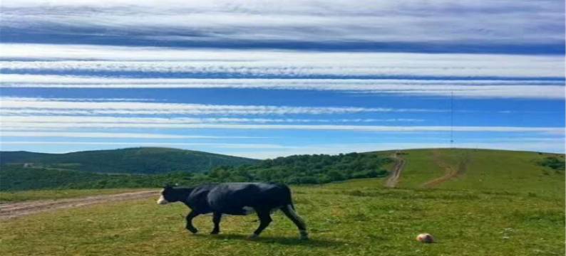 乌兰布统祥通假日酒店图片
