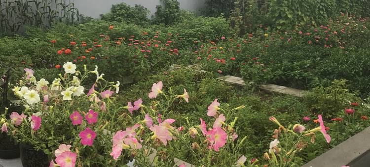 哈尔滨松花江北岸民宿图片