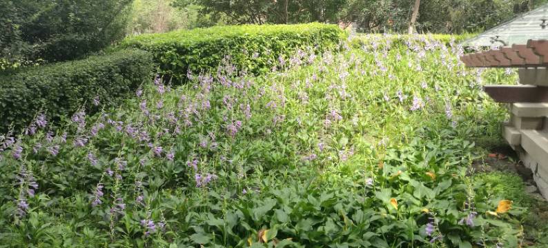 哈尔滨无人只为与你相遇公寓图片