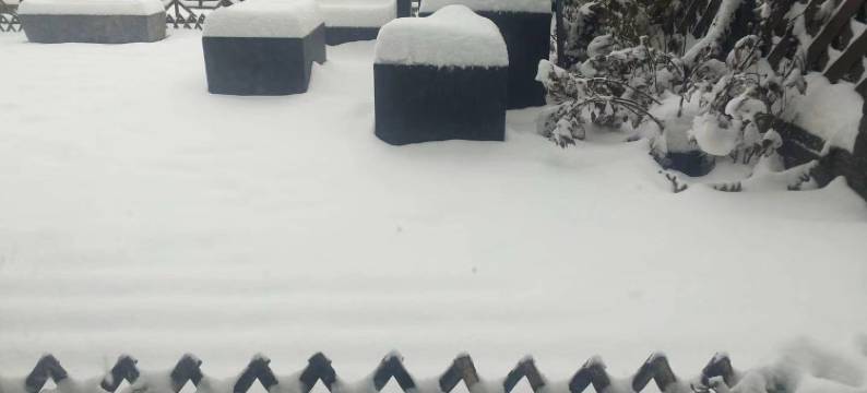 安吉银杏人家民宿图片