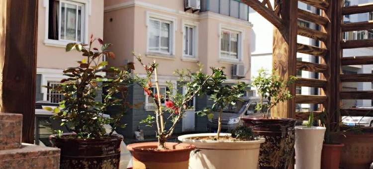 听风民宿(观音圣坛景区店)图片