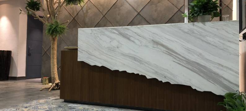 珠海横琴清漫花园精品民宿图片