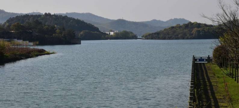 灵璧石公寓(黄栗树路分店)图片