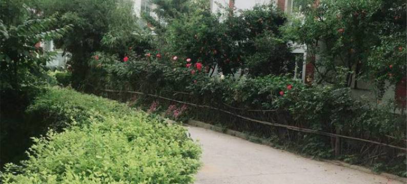 好运来公寓(郑州佛岗店)图片