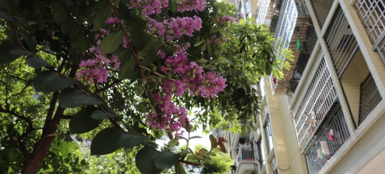 肇庆醉古陌民宿图片