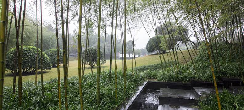 重庆贝迪颐园特色民宿图片