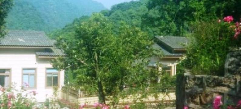 成都青城后山避暑度假养生/联排别墅/山景房图片