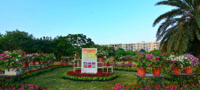 北海北方佳人公寓图片