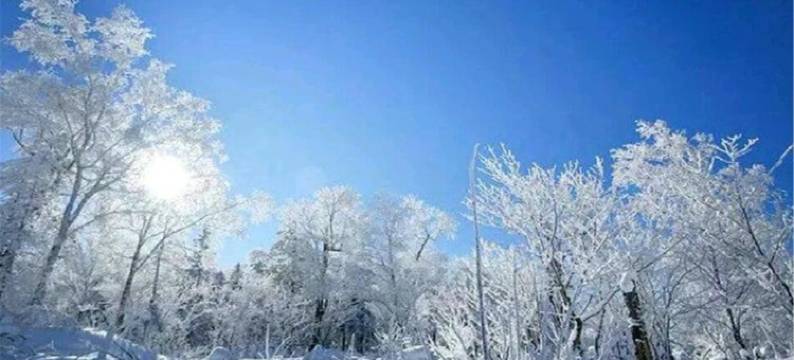 雪谷金和家庭旅馆图片