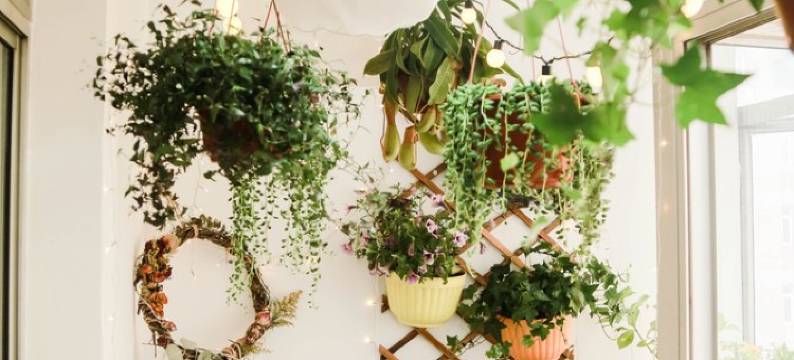 南京橘子汁公寓图片