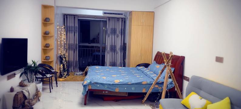 柳州夏谨公寓图片