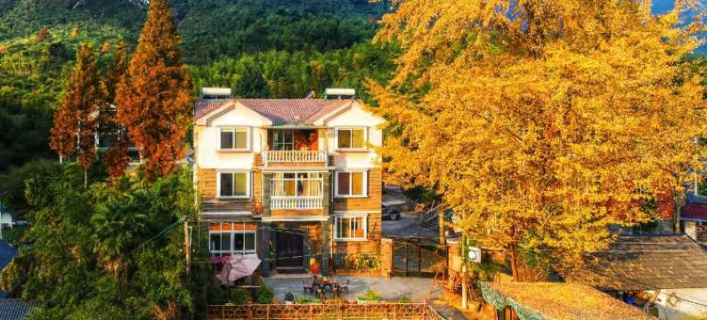 安吉银杏人家民宿图片