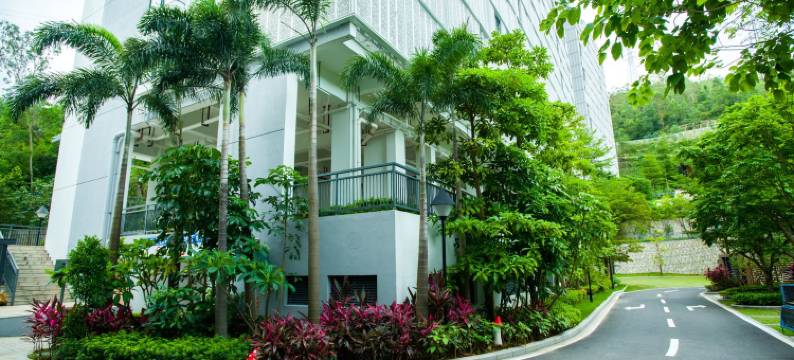 深圳海景民宿图片