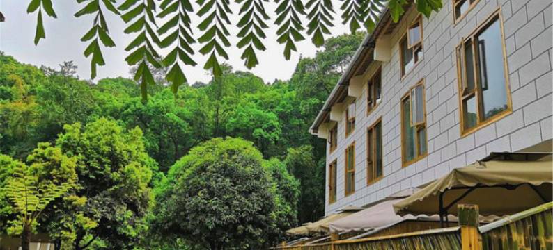 竹间私汤民宿(峨眉山风景区报国寺店)图片