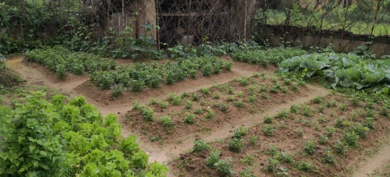 雅客居山庄(中源乡店)图片