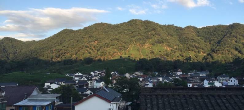 杭州梅家坞山清民宿图片