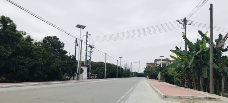 广州大树zsx度假别墅图片