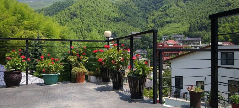 莫干山乡遇绿舍民宿(仙潭村景区店)图片