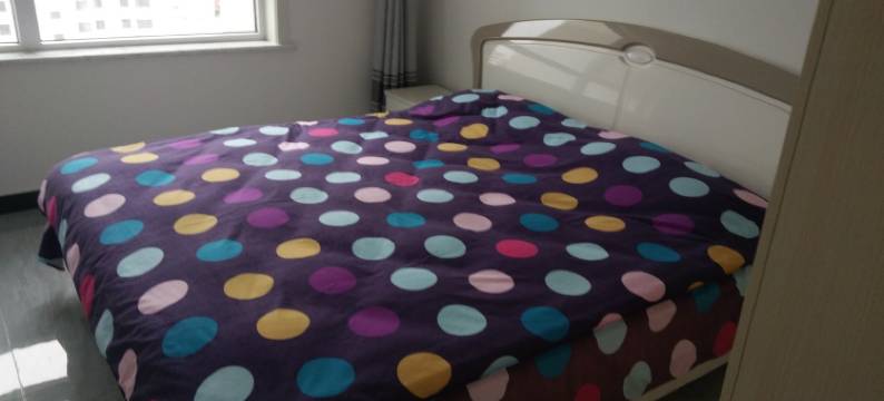 承德避暑山庄周边现代简约日租公寓图片