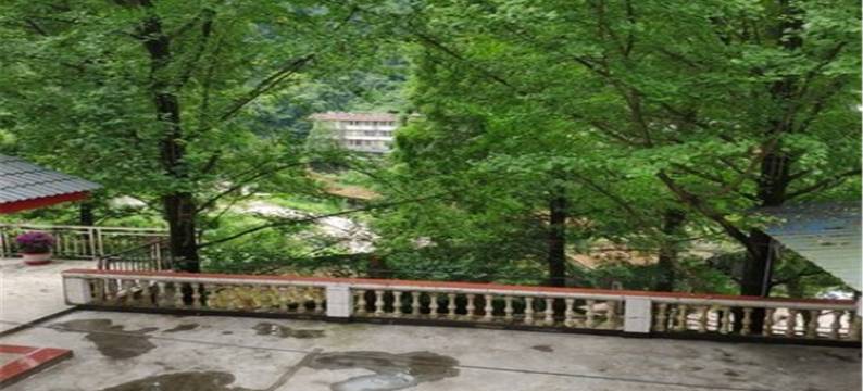 成都夕令特色民宿(4号店)图片