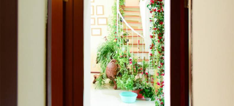 西宁丑姐公寓(2号店)图片