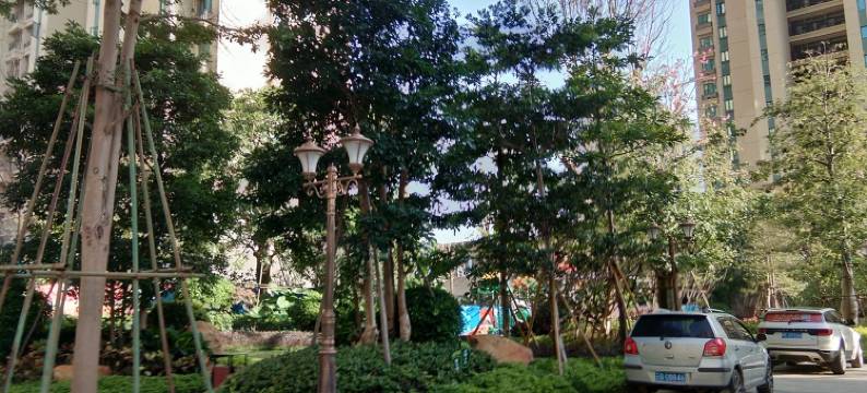 北海六月荷花公寓图片