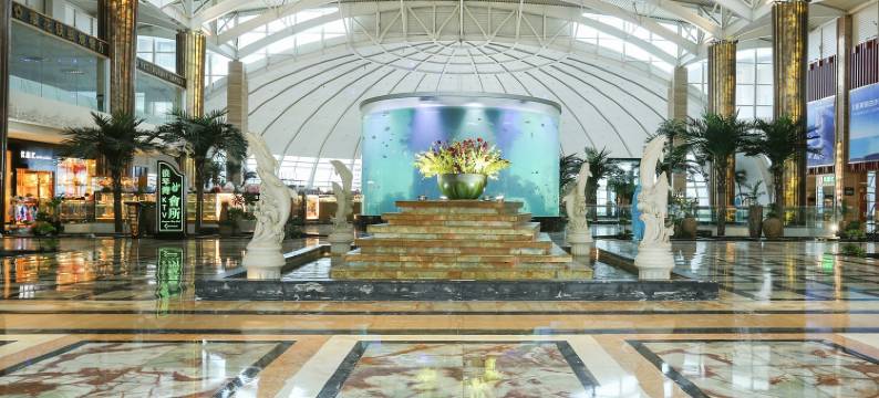 惠州卖别墅的小姐姐图片